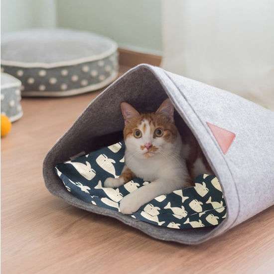 Pet Cave Jack