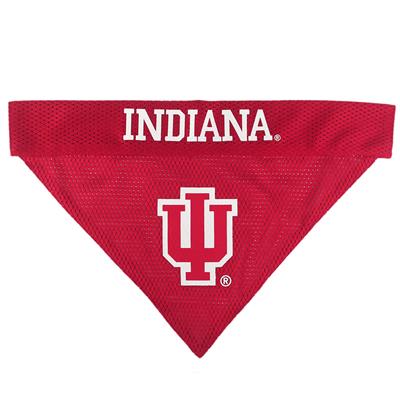 NCAA Indiana Hoosiers Dog Reversible Bandana