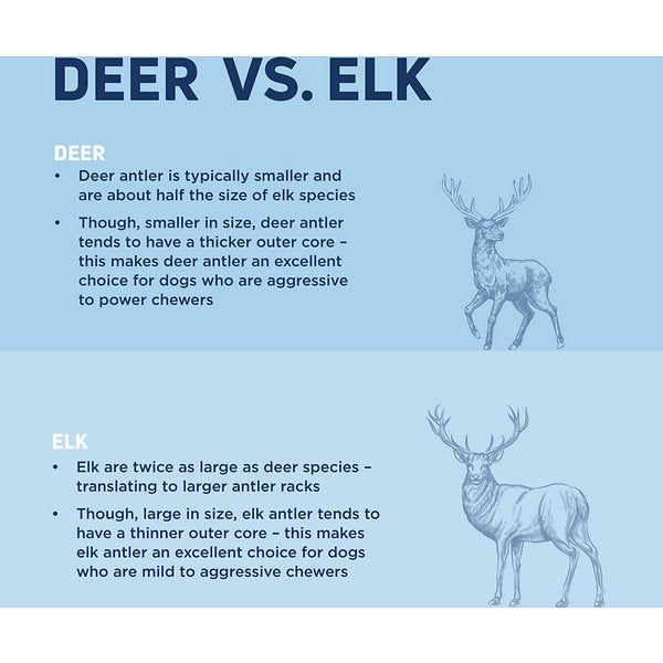 Barkworthies Elk Antler Split L *