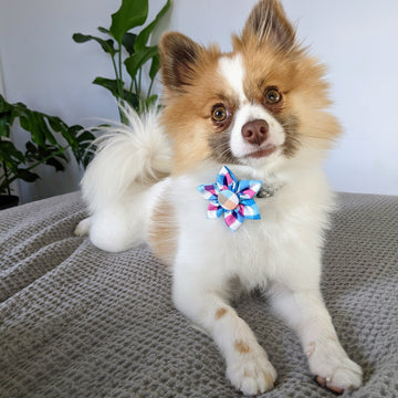 Blue Green Check Pinwheel