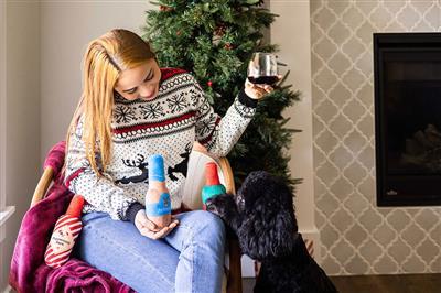 Holiday Spirits Dog Toy