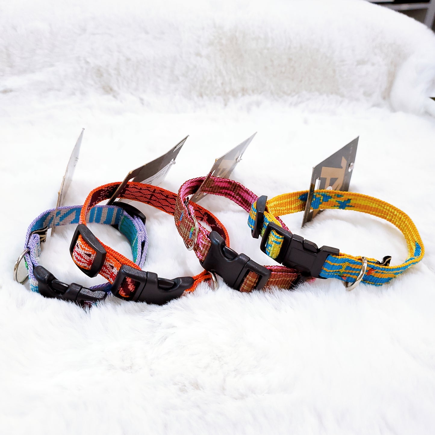 Les Mâtins Coquins Dog Collar