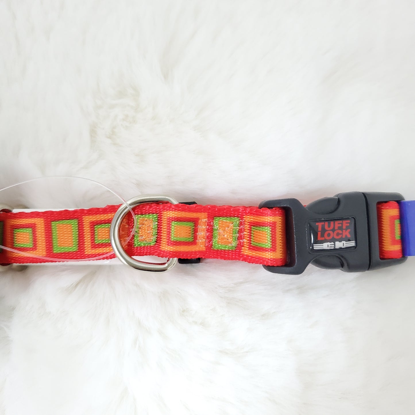 Plastic Buckle Dog Collar – Boxy Orange