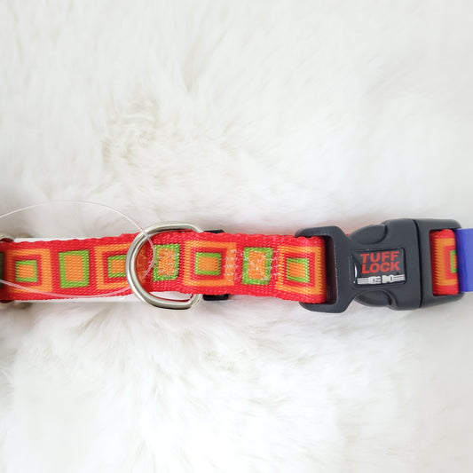 Plastic Buckle Dog Collar – Boxy Orange