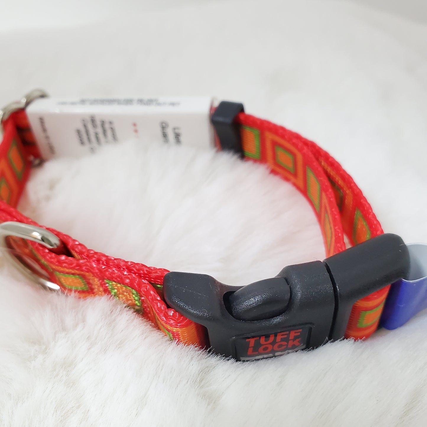 Plastic Buckle Dog Collar – Boxy Orange