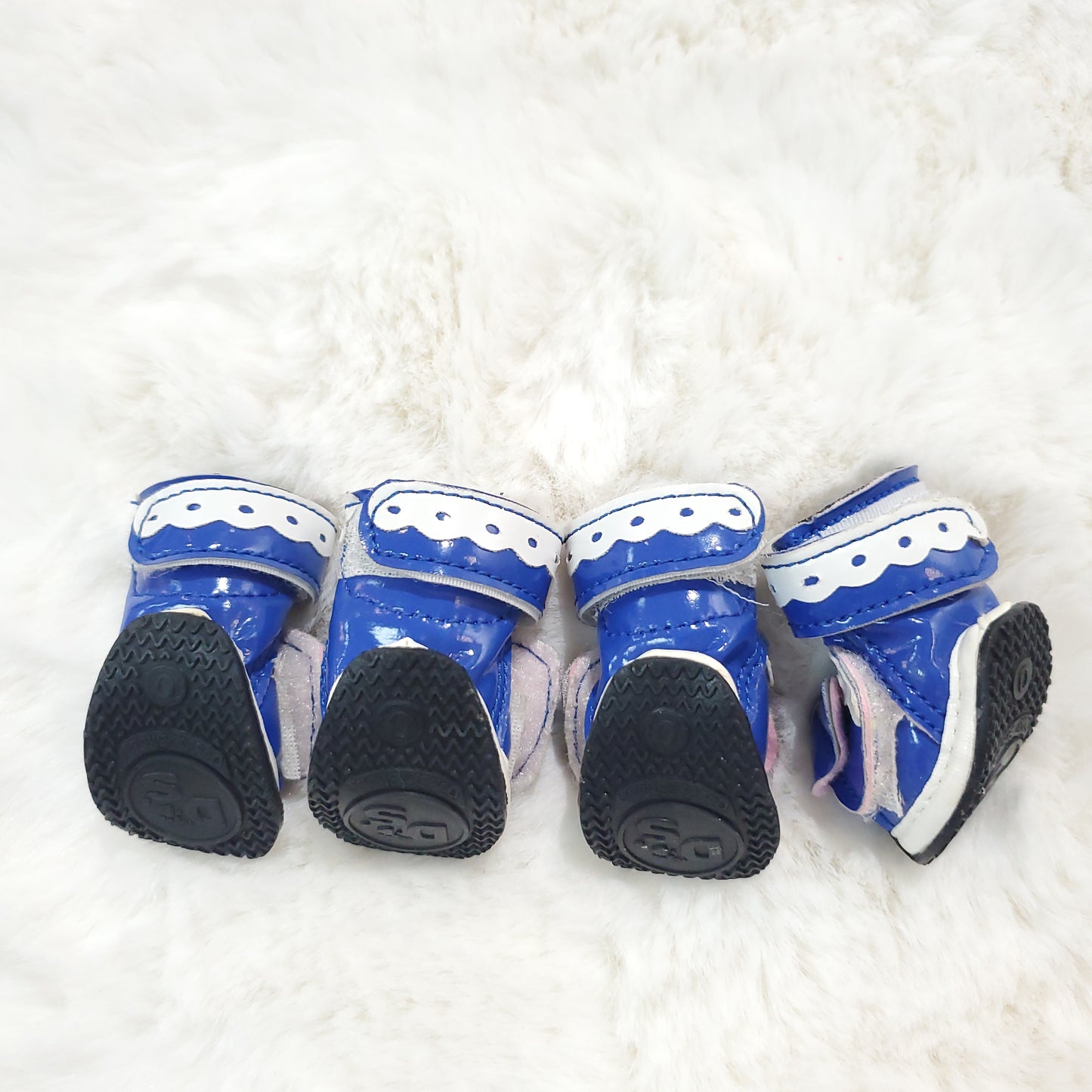 Doggy Tennis Shoes with Lace