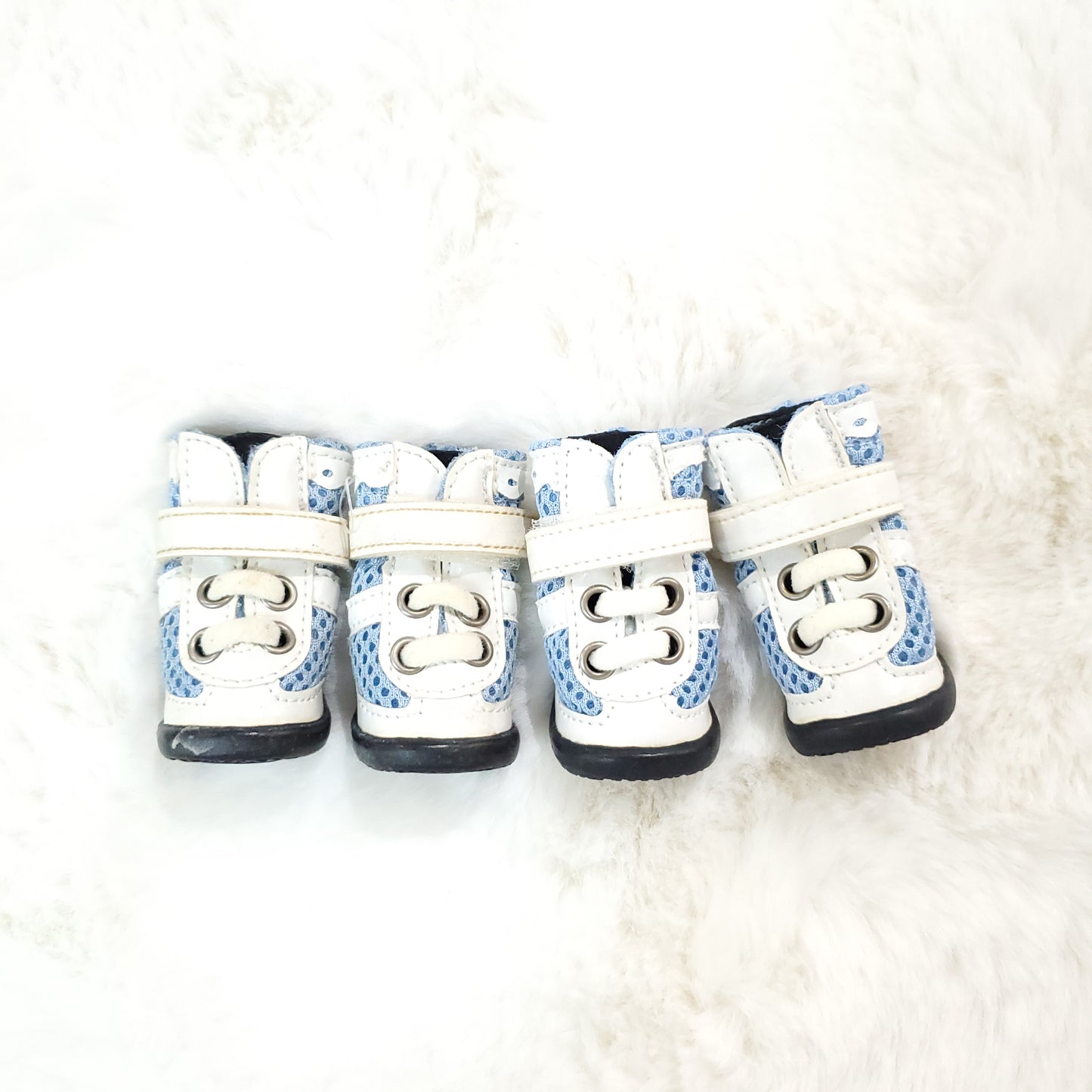 Doggy Laced High Tops