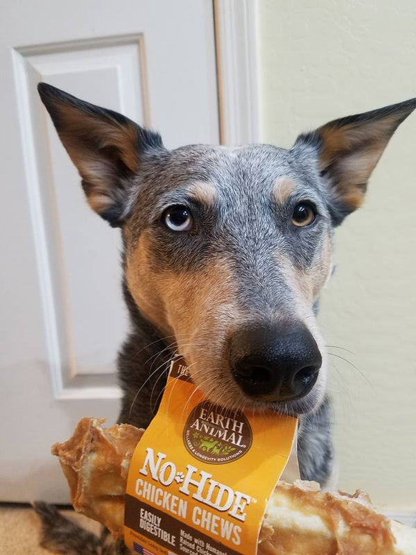 Chicken No-Hide® Wholesome Chews - Medium