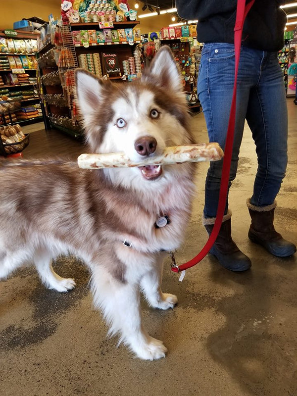 Pork No-Hide® Wholesome Chews - Large