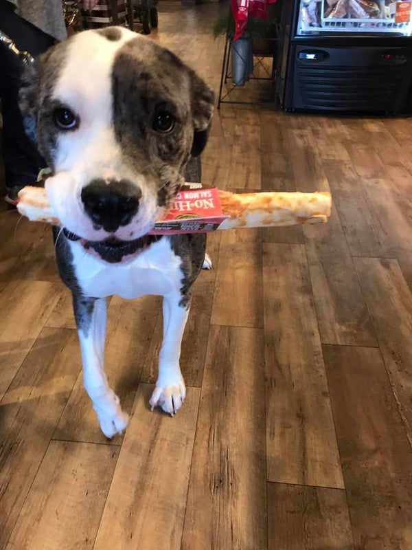 Salmon No-Hide® Wholesome Chews - Large