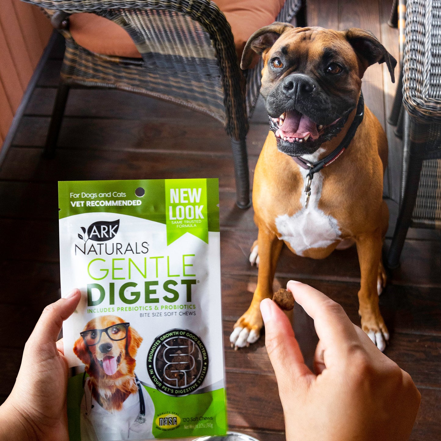 Ark Naturals Gentle Digest Chews (120ct)