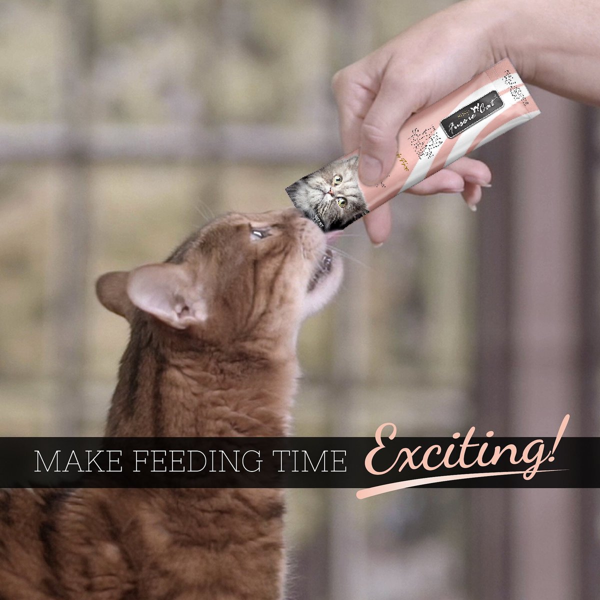 Fussie Cat Tuna with Salmon Puree Lickable Cat Treats (0.5oz *4pk)