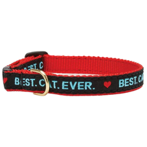 Best Cat Ever Cat Collar