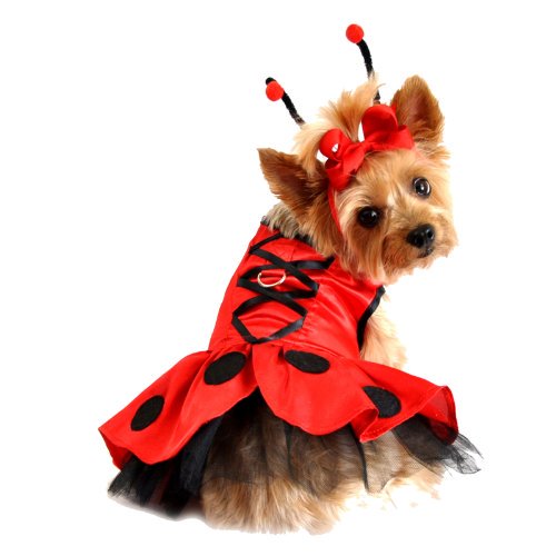 chinese dress ladies 1995 Moschino Couture 'Ladybug' Novelty Black & Red Silk Halter Dress