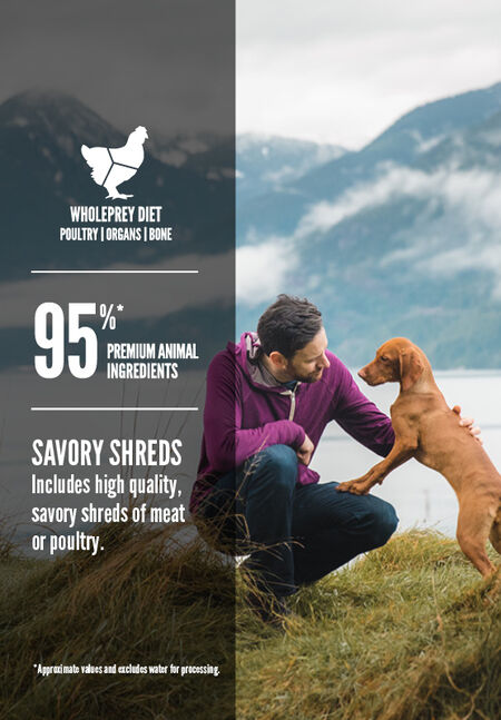 Orijen Wet Dog Food Original Stew Recipe With Chicken Turkey & Eggs