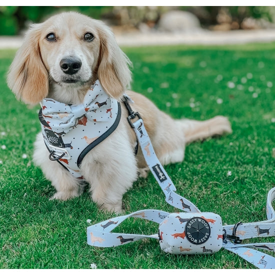 Dog Waste Bag Holder - 101 Dachshund