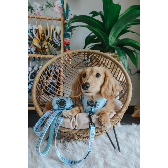Woof Claw Dog Waste Bag Holder