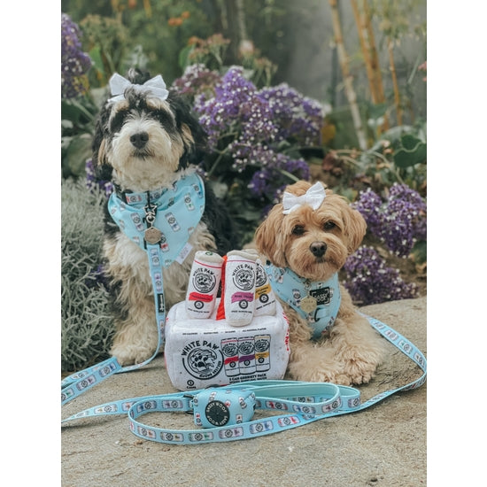 Woof Claw Dog Fabric Leash
