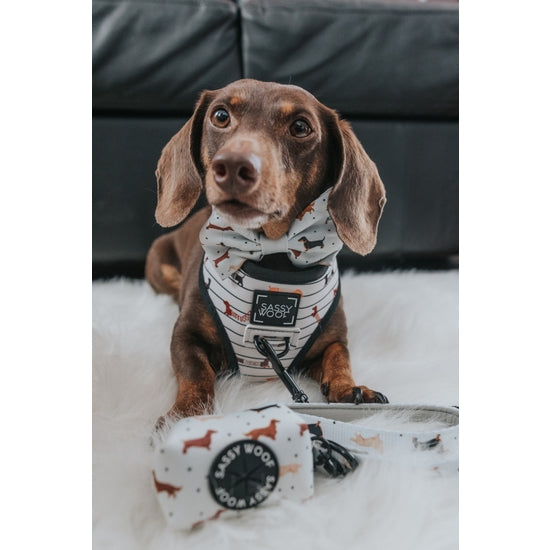 Dog Waste Bag Holder - 101 Dachshund