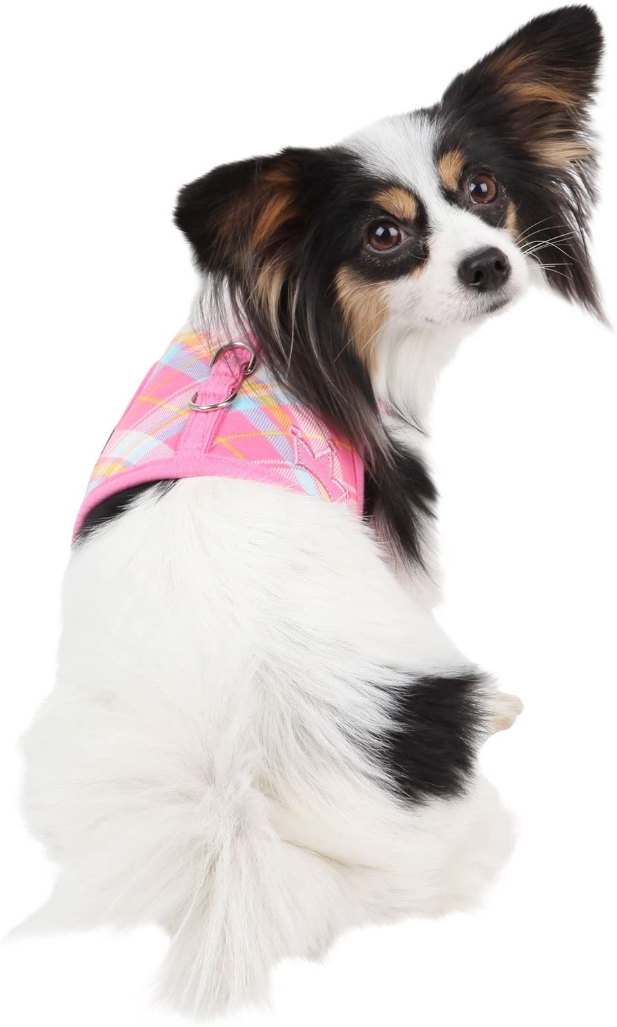 Puppia Dainty Harness