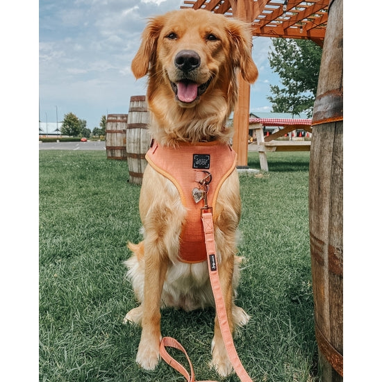 Dog Waste Bag Holder - Apple Cider