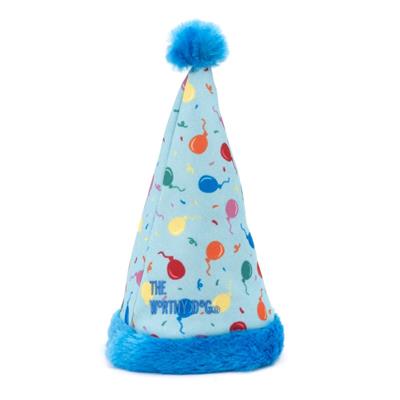 Birthday Party Hat Blue