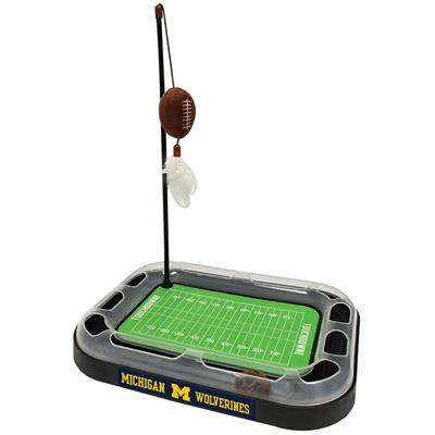 NCAA Michigan Wolverines Football Cat Scratcher
