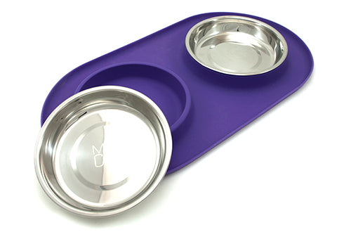 Cat Double Silicone Feeder with Stainless Bowls