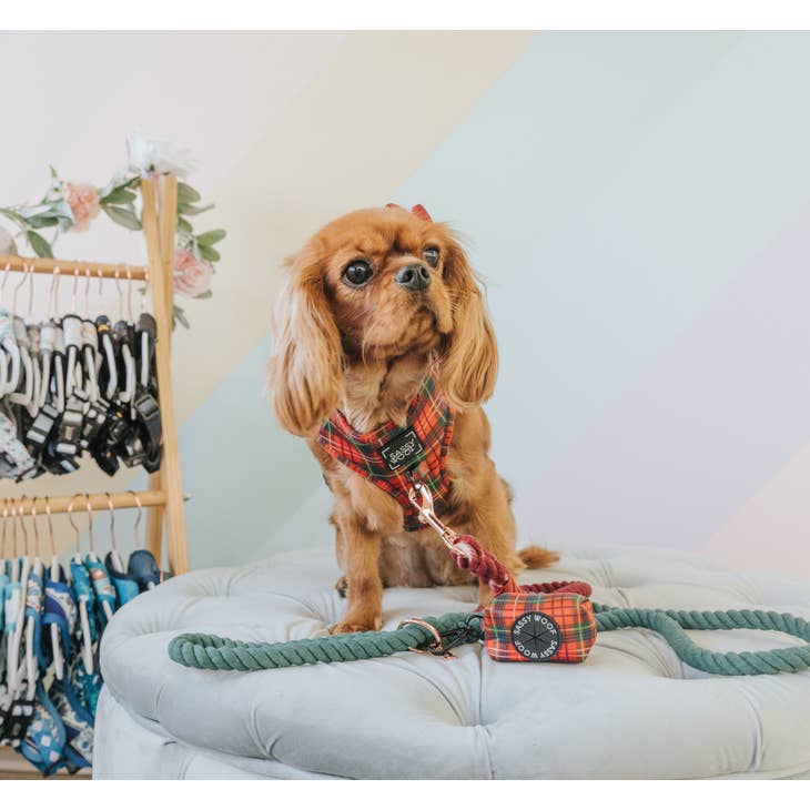 Dog Waste Bag Holder - Deck The Paws