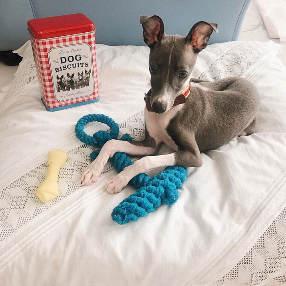 Anchor-knotted Cotton Rope Toy