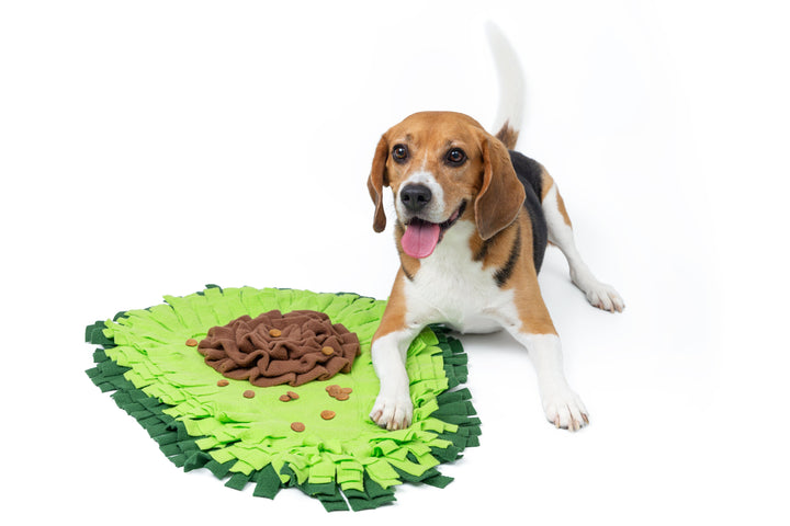 Avocado Snuffle Mat