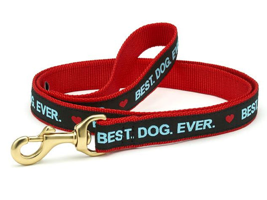 Best Dog Ever Dog Lead