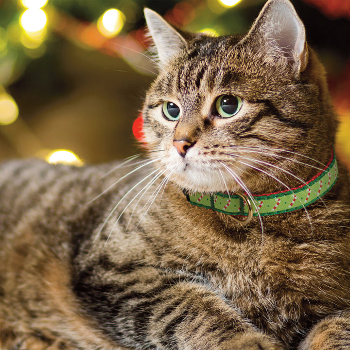Candy Cane Cat Collar