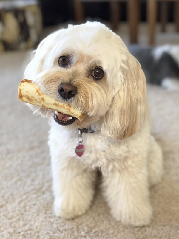 Salmon No-Hide® Wholesome Chews - Small