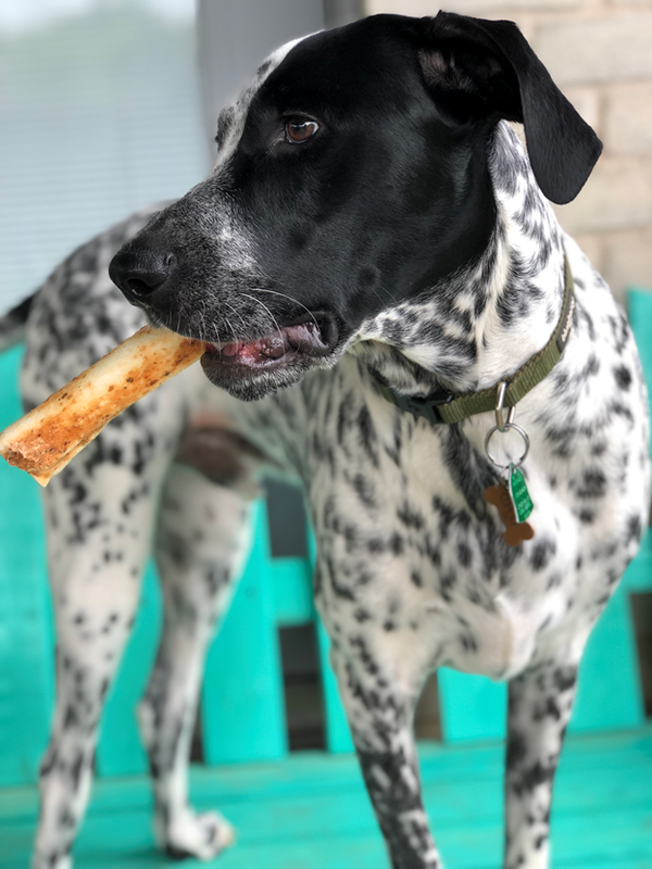 Salmon No-Hide® Wholesome Chews - Medium