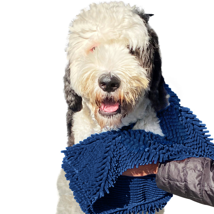 Soggy Doggy Super Shammy