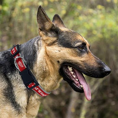 NHL Detroit Red Wings Dog Collar & Leash