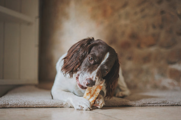 Peanut Butter No-Hide® Wholesome Chews - Small