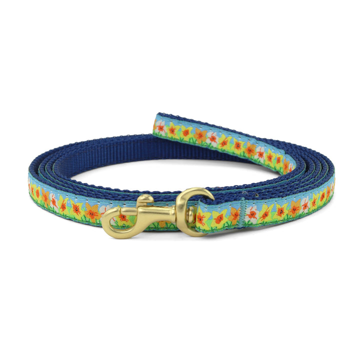 Daffodil Small Breed Dog Lead