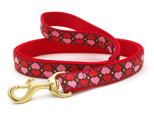 All Hearts Dog Lead