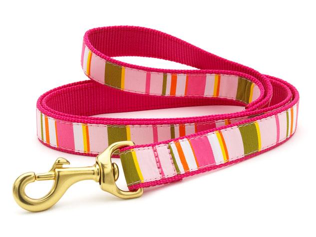 Donna Stripe Lead
