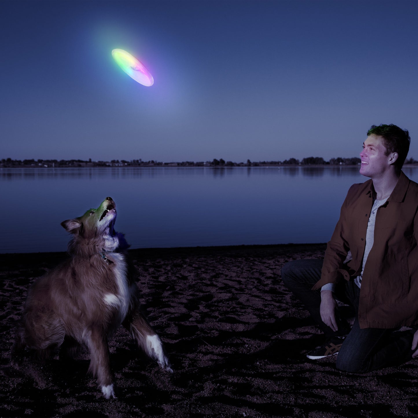 Flashflight Dog Discuit LED Flying Disc