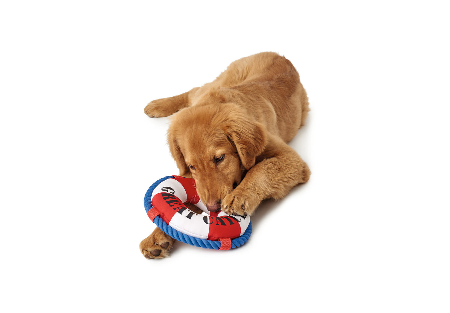 HAWI Dog Toy