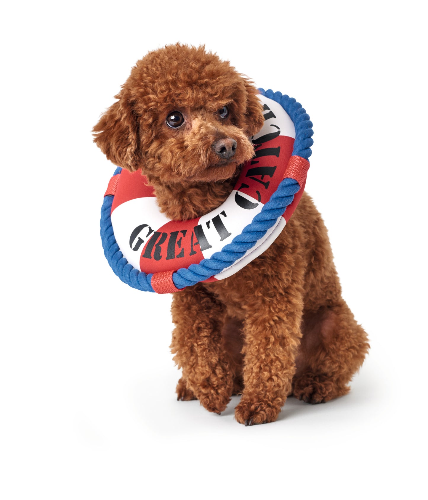 HAWI Dog Toy
