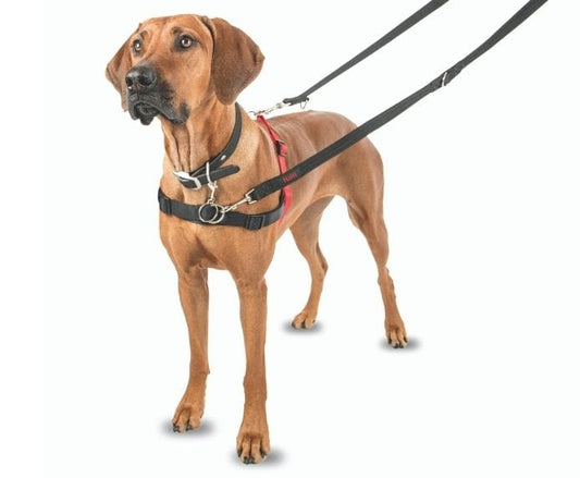 Halti Front Control Harness