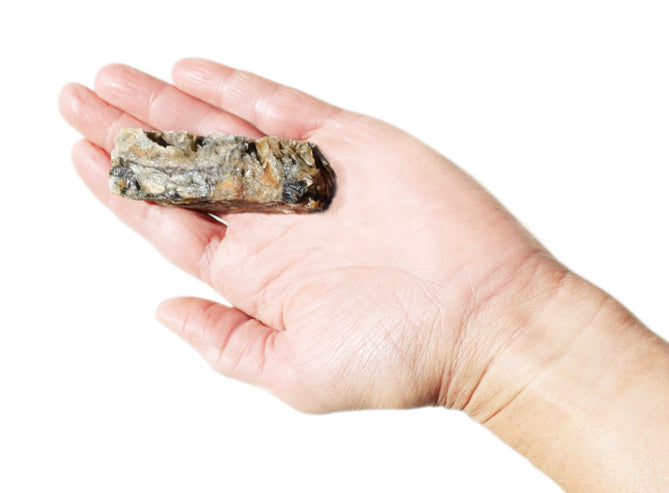 Plato Hundur’s Crunch Jerky Fingers Fish 3.5oz