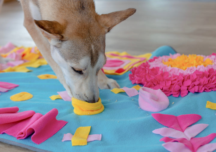 Fun House Snuffle Mat - Pink