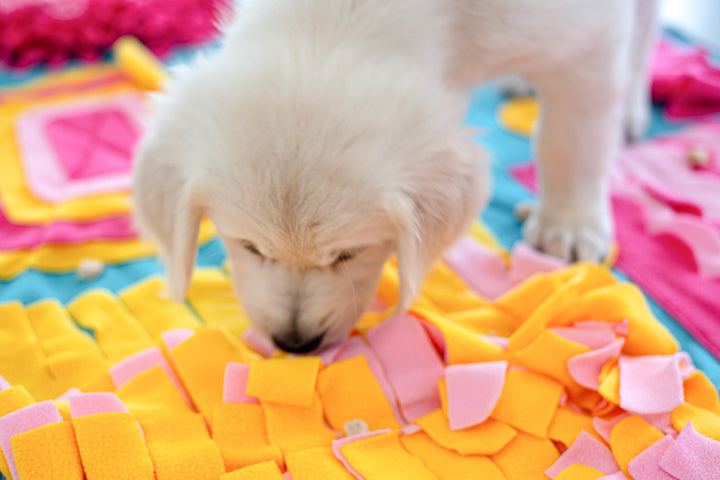 Fun House Snuffle Mat - Pink