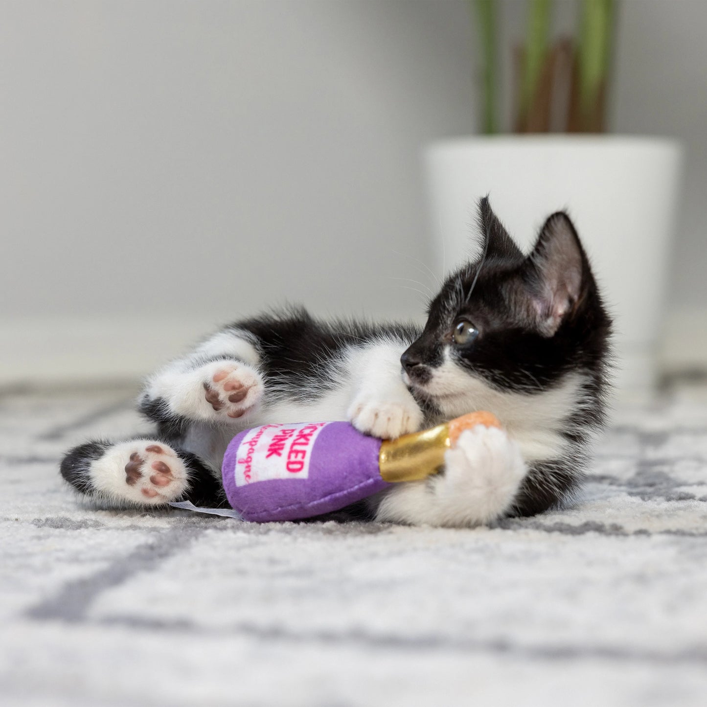 Tickled Pink Chompagne Cat Toy