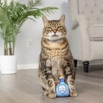 Loco Tequila Cat Toy